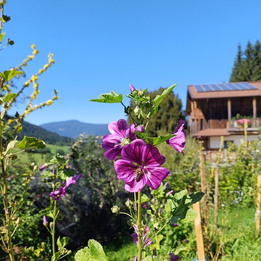 Tiny House Am Steinergut 호텔 라드스타드트 외부 사진